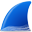 wireshark