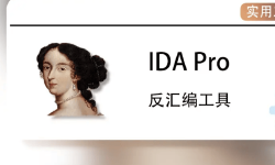 Featured image of post IDA使用指南