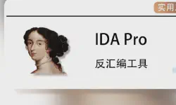 Featured image of post IDA使用指南