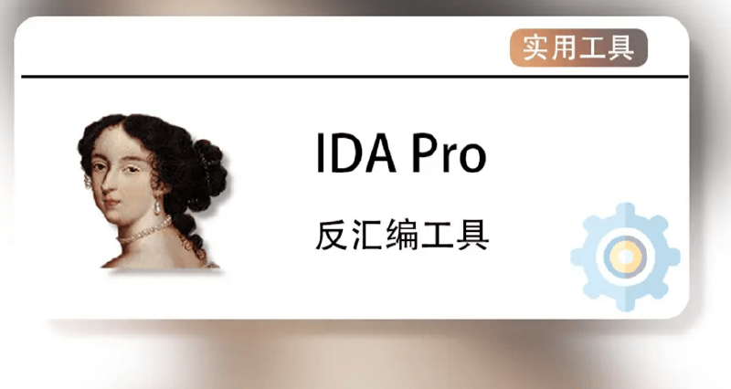 Featured image of post IDA使用指南