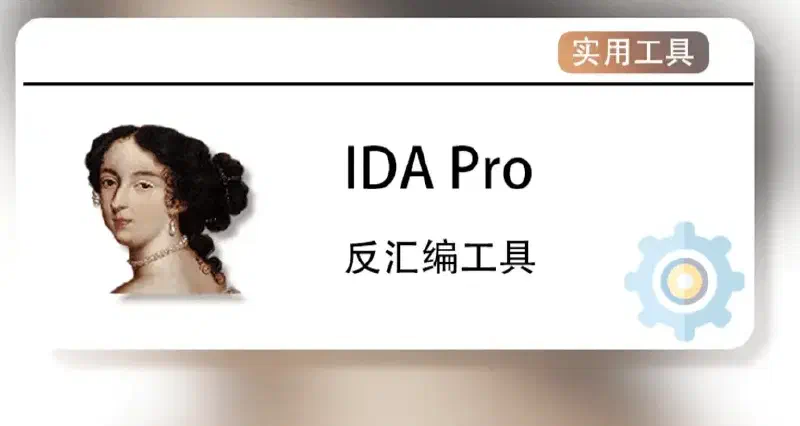 Featured image of post IDA使用指南